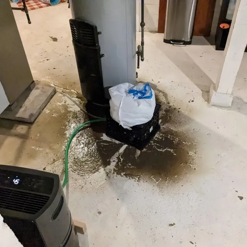 Sewage Backup Cleanup Service in Hardin, MT